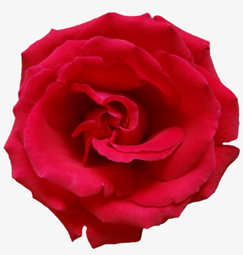 Doterra Passion Touch, transparent png #61405