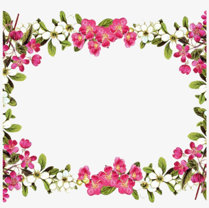 Flower Border Png Animal Clipart Hatenylo - Floral Borders And Frames, transparent png #61495