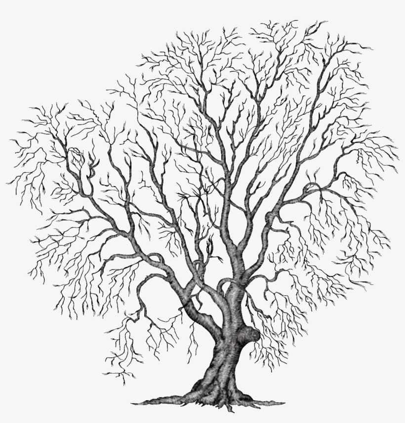 Painting Tree Clipart Illustration Png File Autumn - Trees In Autumn Png, transparent png #61517