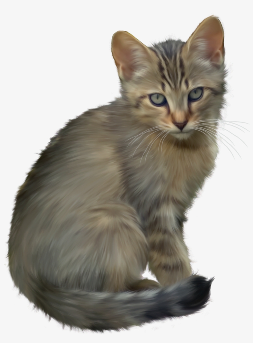 Cute Kitten Png Clipart - Real Kitten Clip Art, transparent png #61690