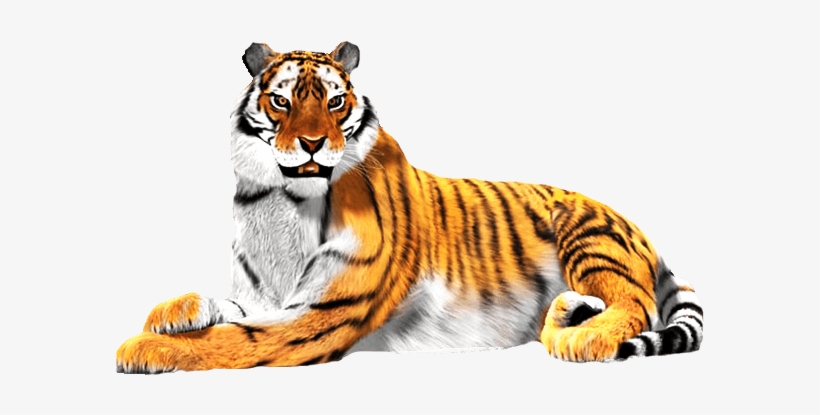 Sitting Tiger Png Download Image - National Animal Of India White Background, transparent png #61835