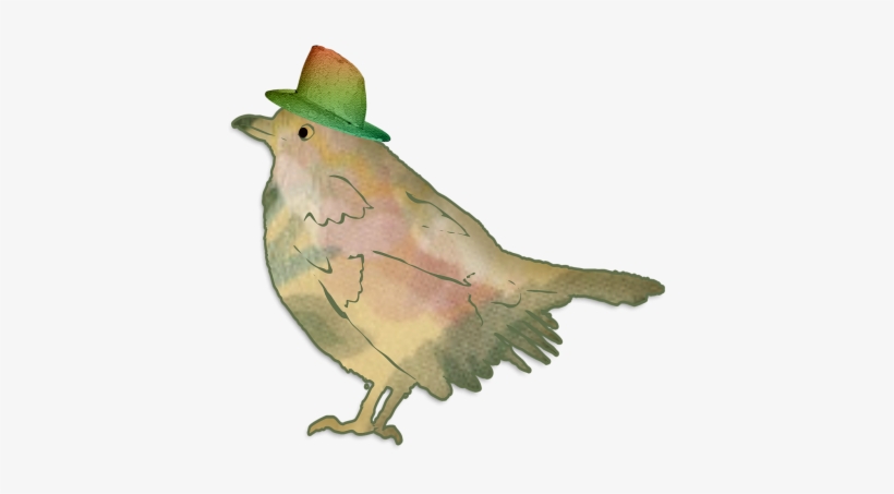 Bird, transparent png #61967