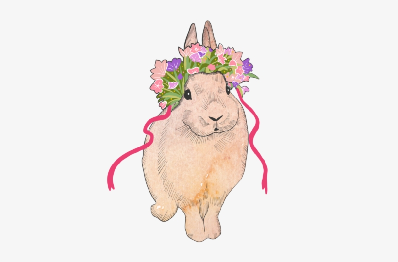 Easter Bunny, transparent png #62284