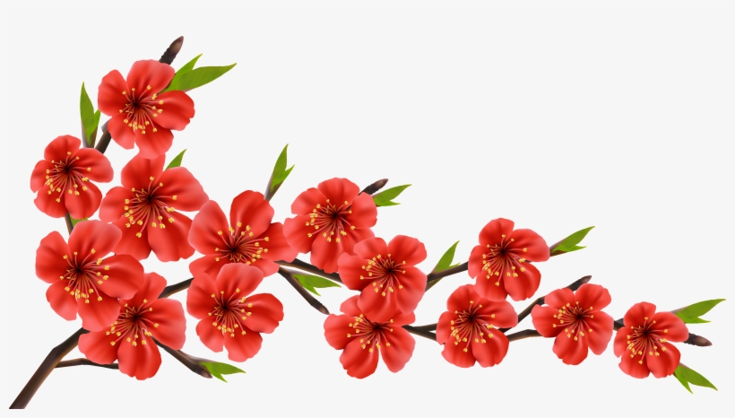 Red Spring Branch Png Clipart Image - Cherry Blossom Red Flowers, transparent png #62350
