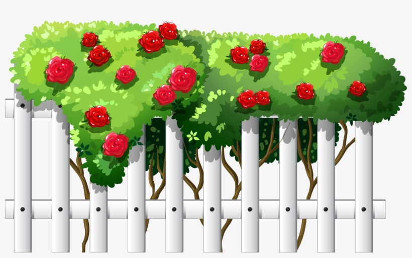 White Fence With Roses Png Clipart - Rose Fence Vector, transparent png #62404