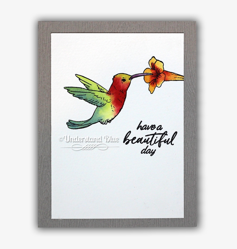 Watercolor Hummingbird By Understand Blue - Hummingbird, transparent png #62618