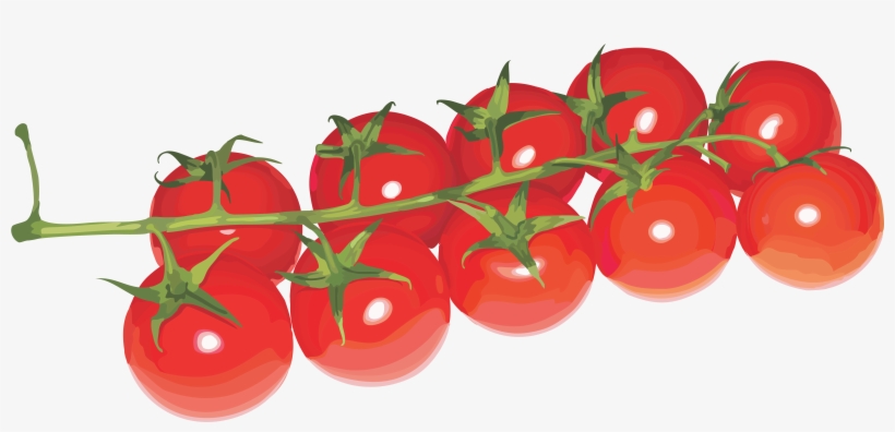 Cherry Tomatoes Transparent Background, transparent png #63552