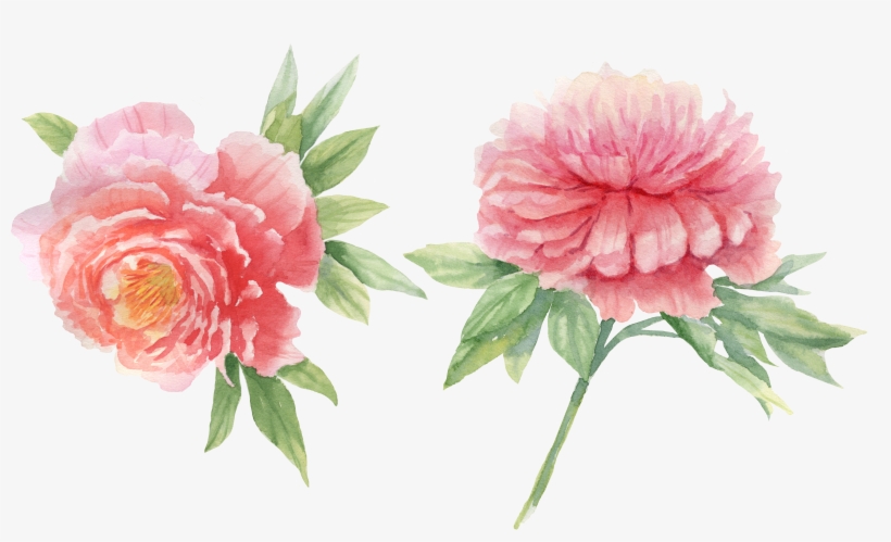 Tag - Fiction, transparent png #63769