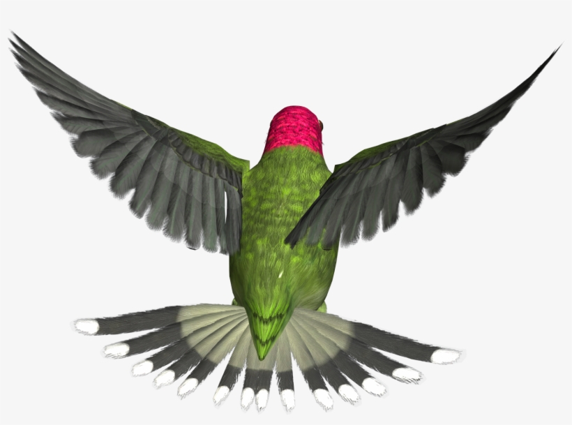 Bird Png - Flying Birds Gif Png, transparent png #64799