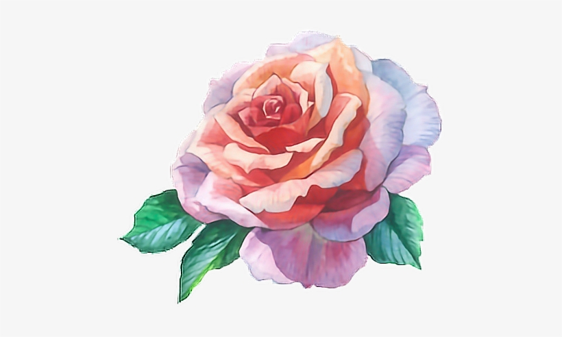 Rose Roses Flowers Watercolour Paint Watercolor Flower - Rose Flower Water Color, transparent png #65060