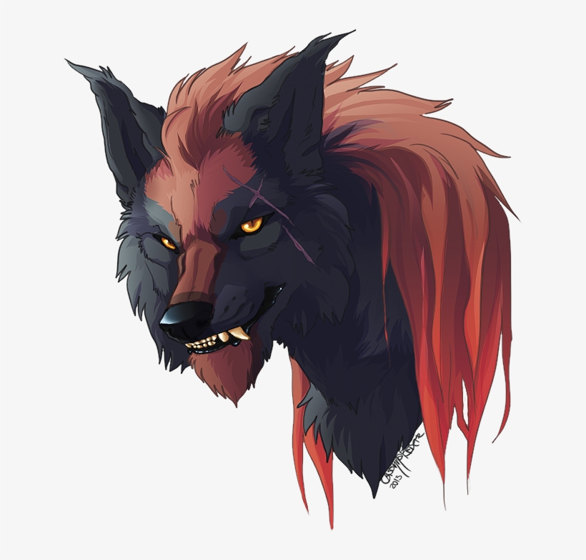 Random Wolf Head Video By Annasko D6rjuua 0 - Wolf, transparent png #65267