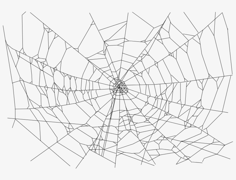 Real Spider Web - Transparent Background Spider Web Png, transparent png #65539