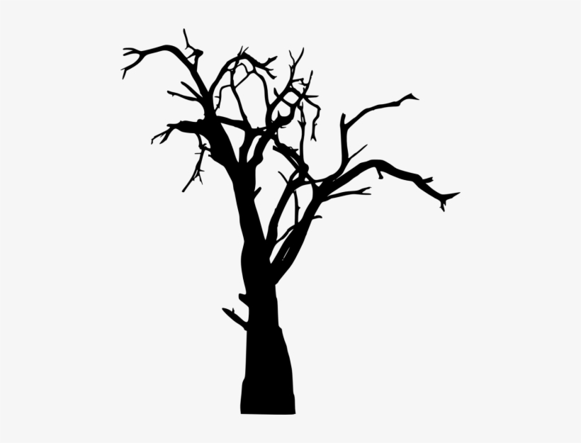 Free Png Dead Tree Silhouette Png Images Transparent - Dead Tree Vector Png, transparent png #65612