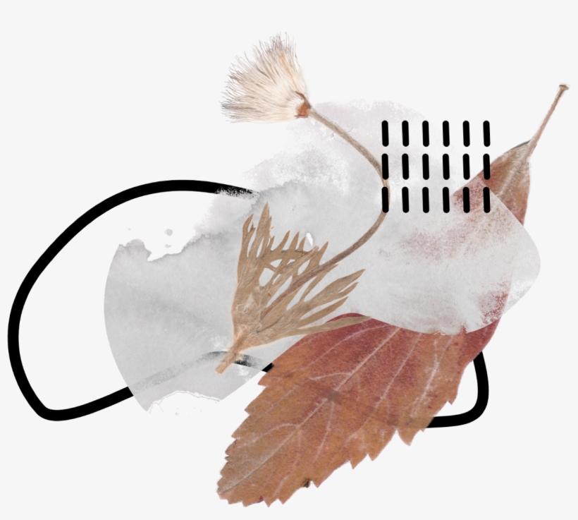 Watercolor Watercolors Flowers Flower Floral Paint - Thessaloniki, transparent png #65845