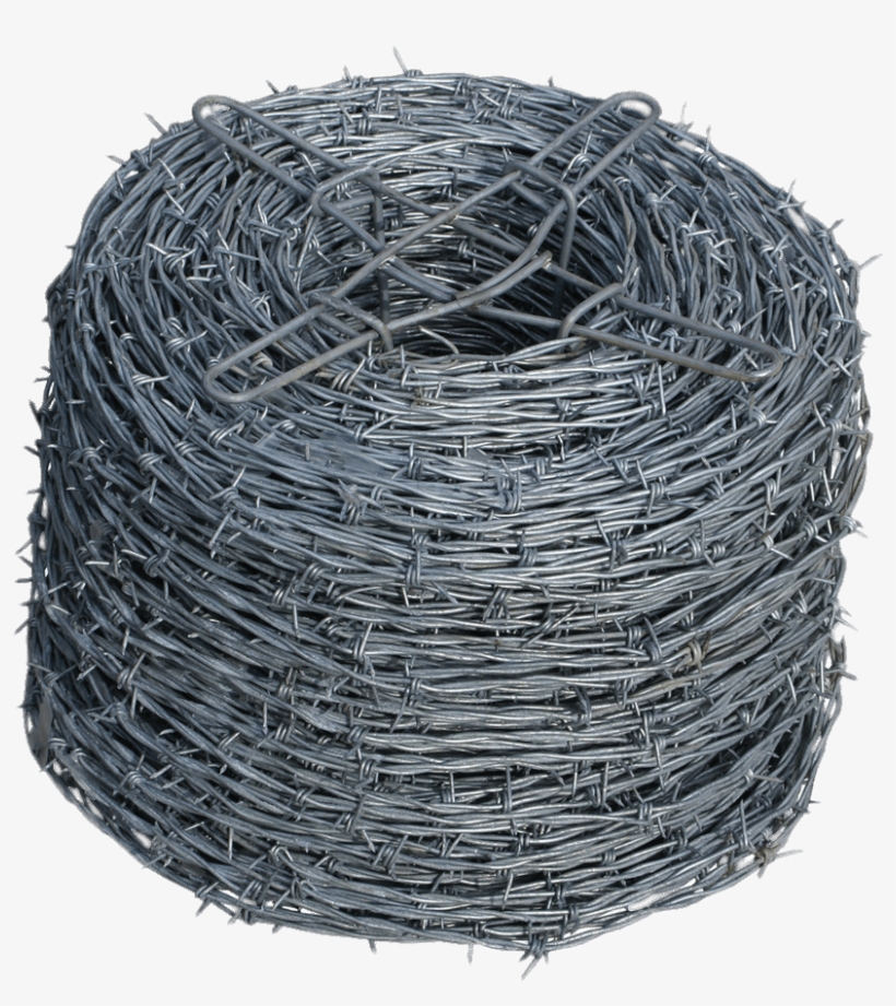 Barbed Wire Steel - Fence Wire, transparent png #66042