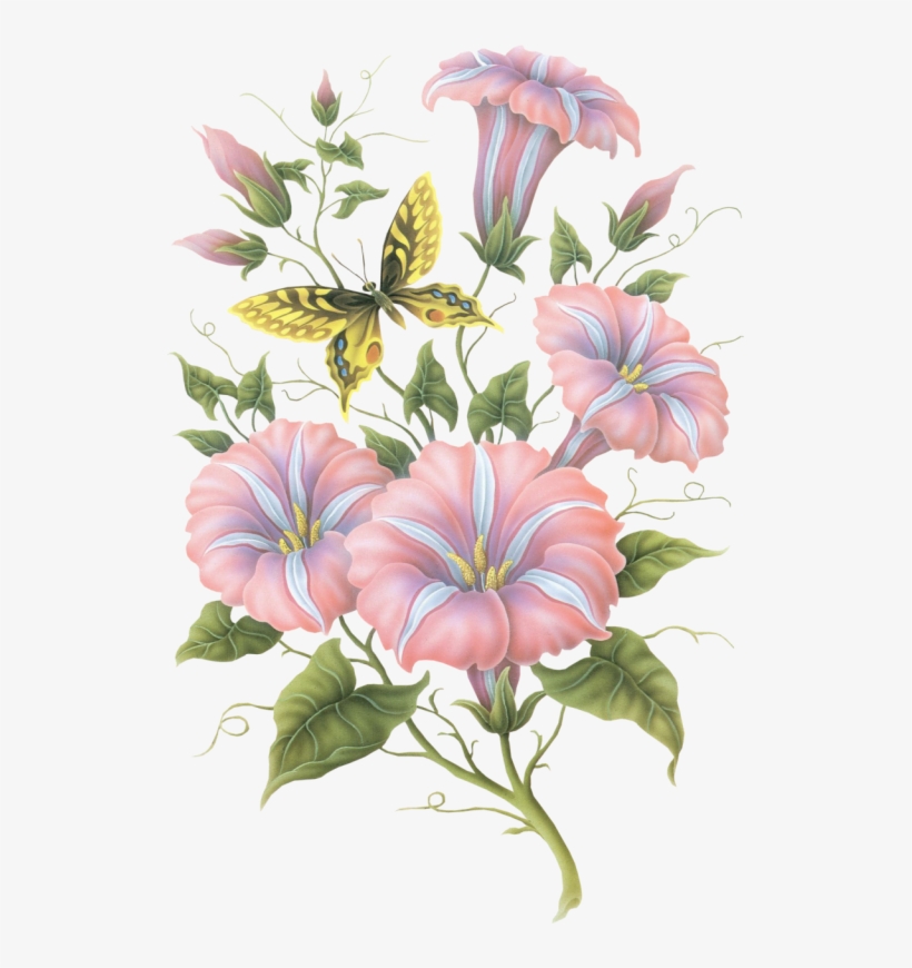 519×790 Pixels - Amistad Es Como Las Flores, transparent png #66045