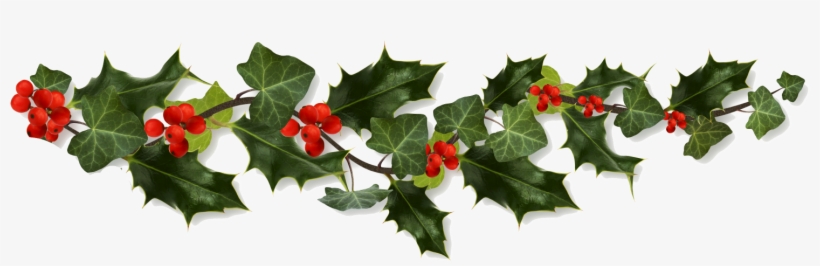 Holly Border Png Clip Art Transparent Stock - Holly Border Png, transparent png #66114