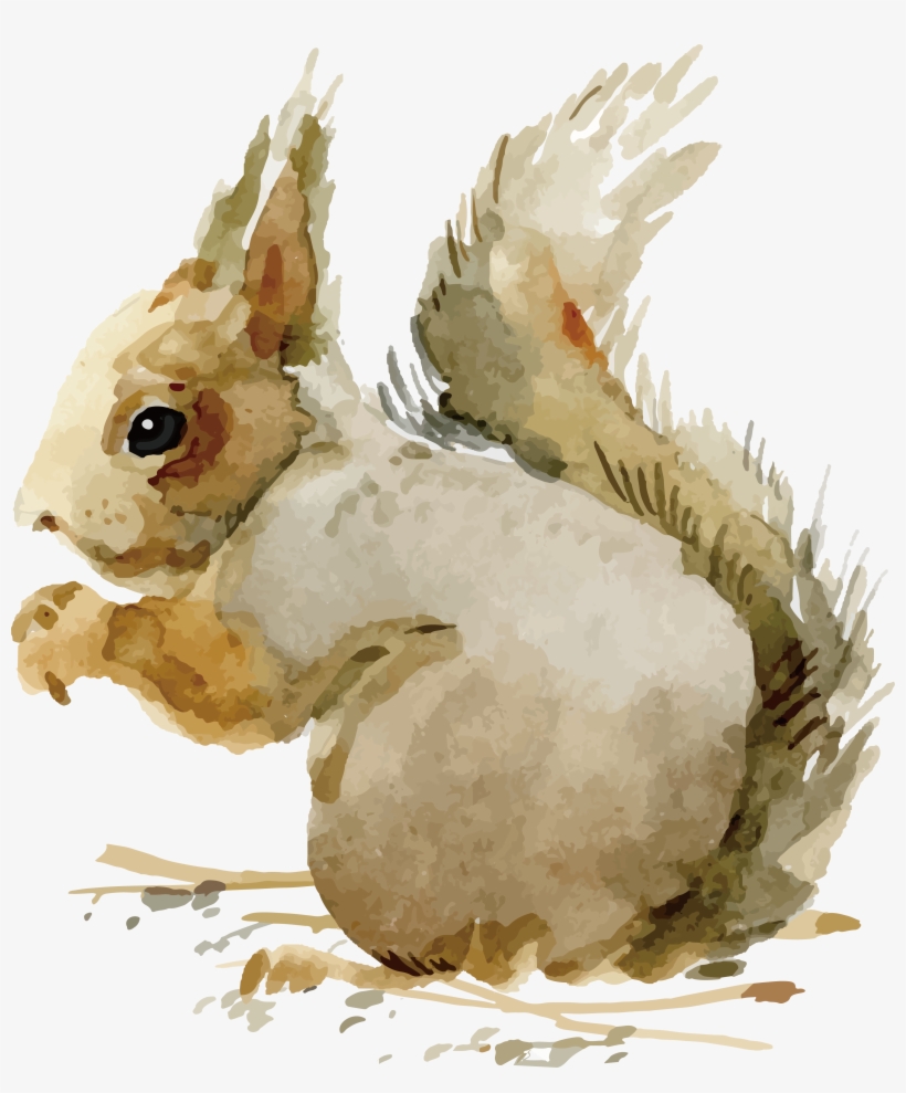 Domestic Rabbit Adobe Illustrator - Vector Graphics, transparent png #66432