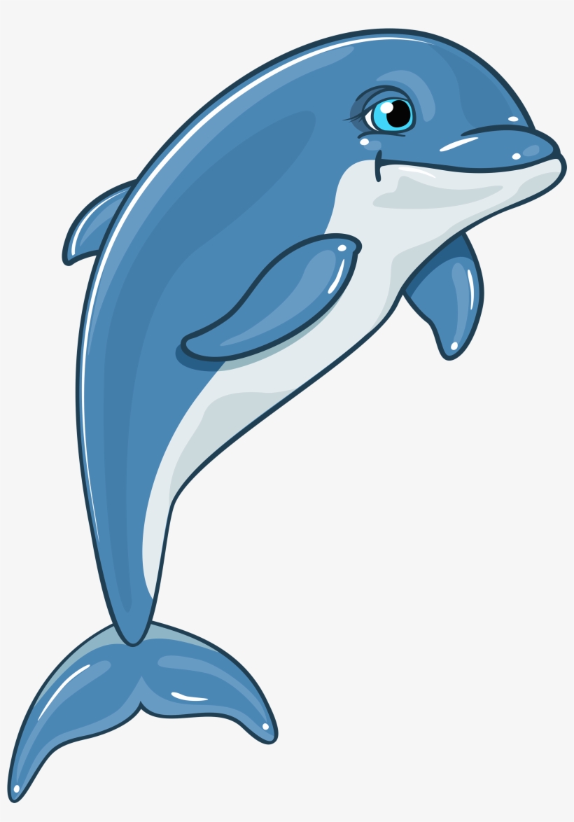 Dolphin Png Clipart - Dolphin Png, transparent png #66532