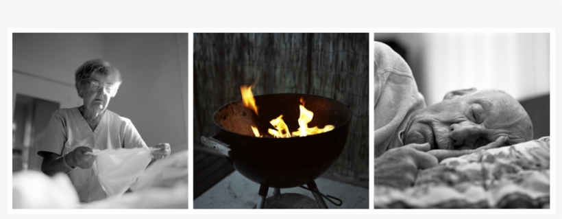 Fire, transparent png #66591