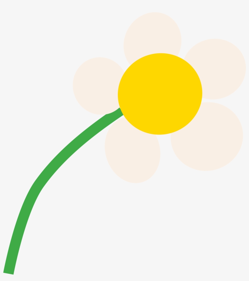 Free Image On Pixabay Flower Pretty Garden - Stokrotka Clipart, transparent png #66693