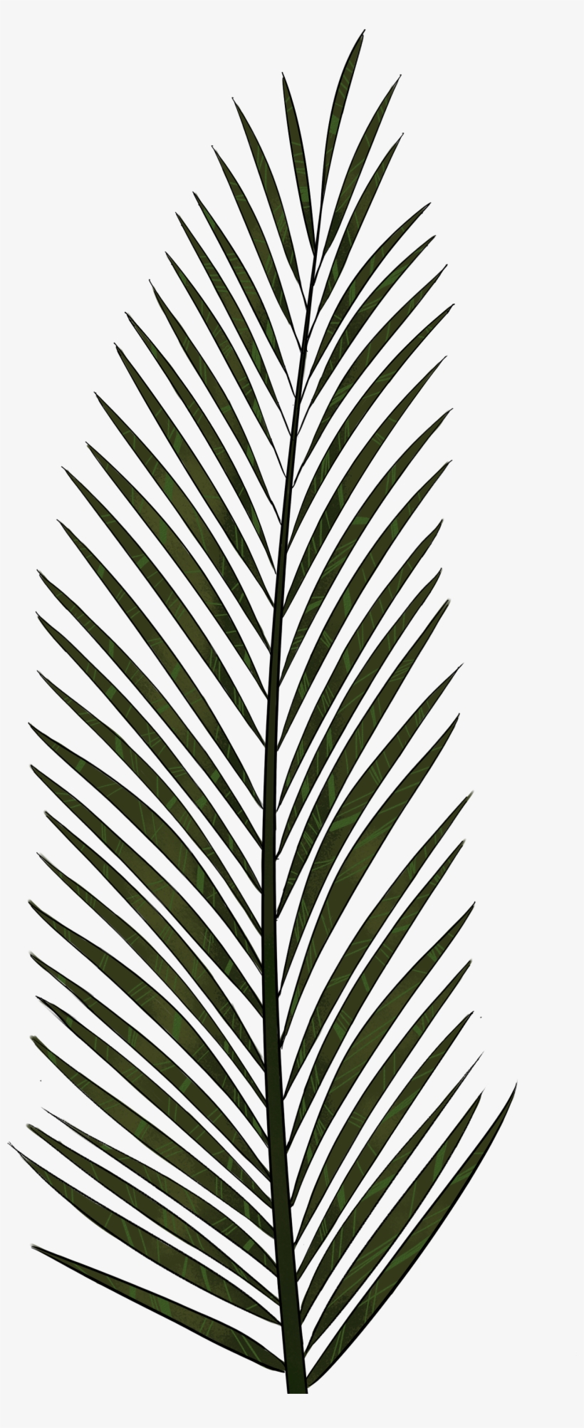 Palm Tree Leaves Png Svg Transparent Library, transparent png #66731