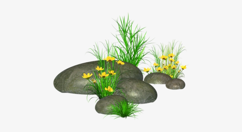 Stones With Grass And Yellow Flowers Png Picture - Stone With Grass Png, transparent png #67206