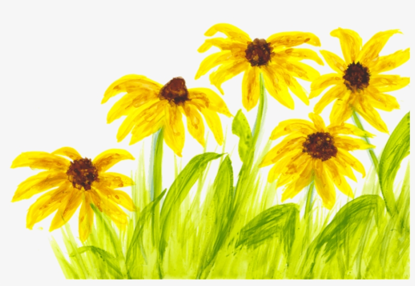Local Artist Adds Flair To New Children's Book Series - Black-eyed Susan, transparent png #67247