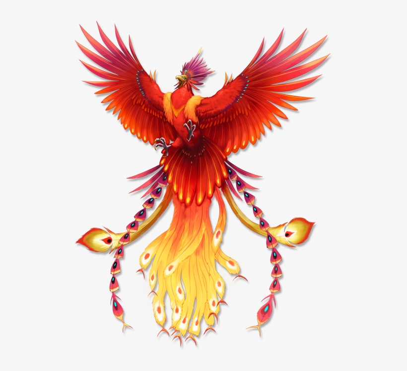 Secrets Of The Phoenix On Behance - Secrets Of The Phoenix, transparent png #67635
