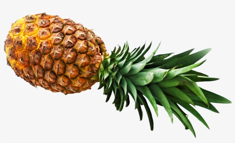 Free Png Pineapple Png Images Transparent - Pineapple Png, transparent png #67795