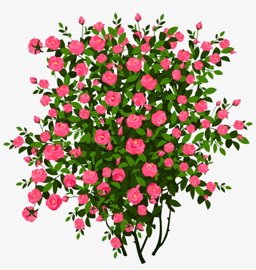 Bush Png, transparent png #68035