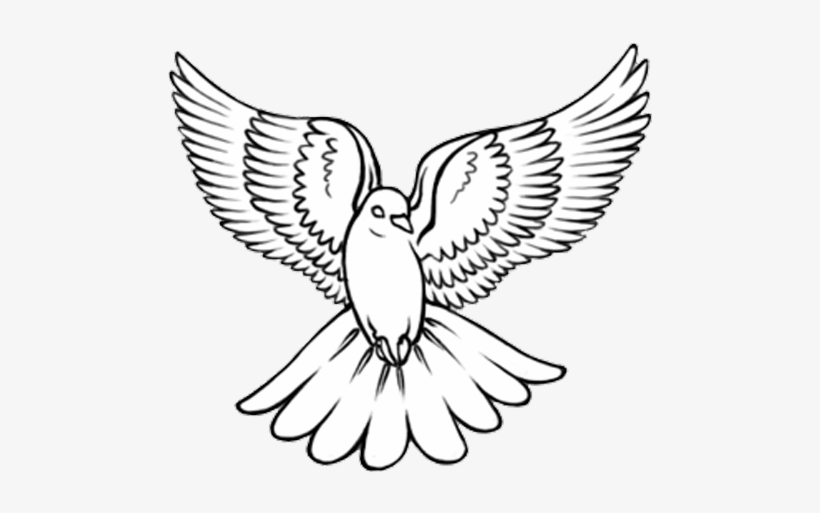 Black Outline Flying Dove Tattoo Design - Dove Drawing, transparent png #68104