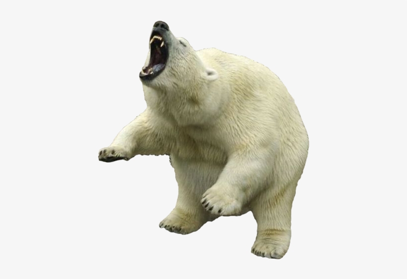 Polar White Bear Png - Polar Bear Transparent Png, transparent png #68185
