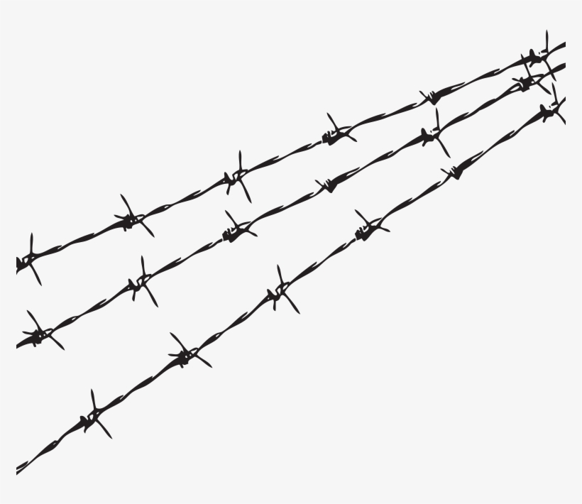 Barbed Wire Png - Transparent Barbwire, transparent png #68187