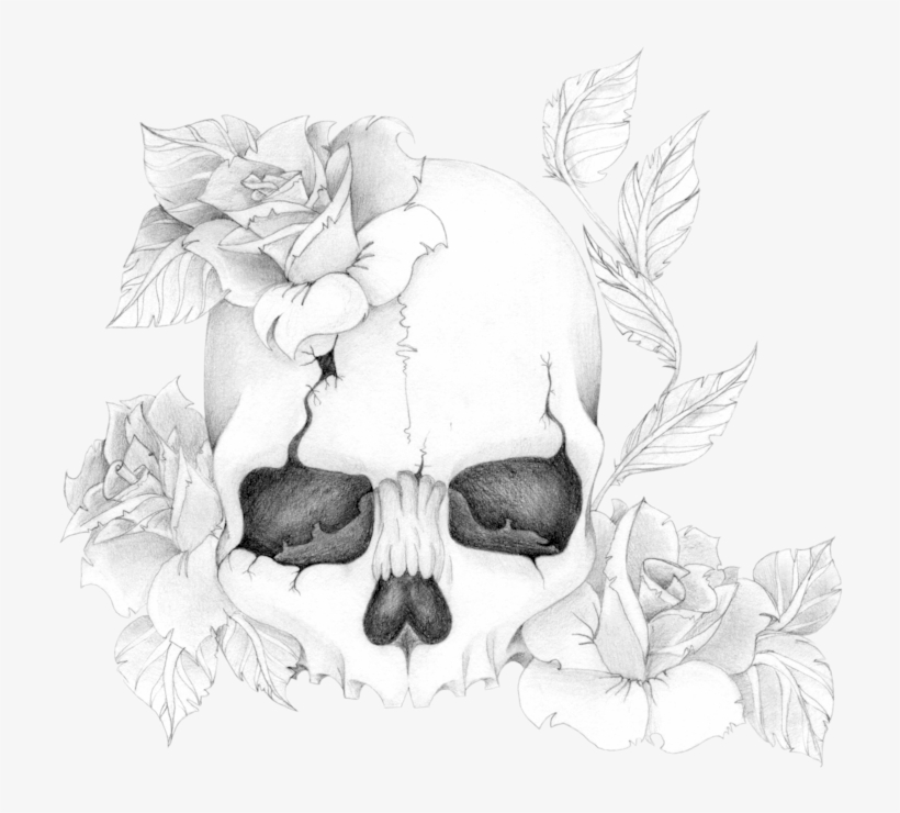 Skull'n'roses By Skrzynia - Flowers And Skull Drawing, transparent png #68562