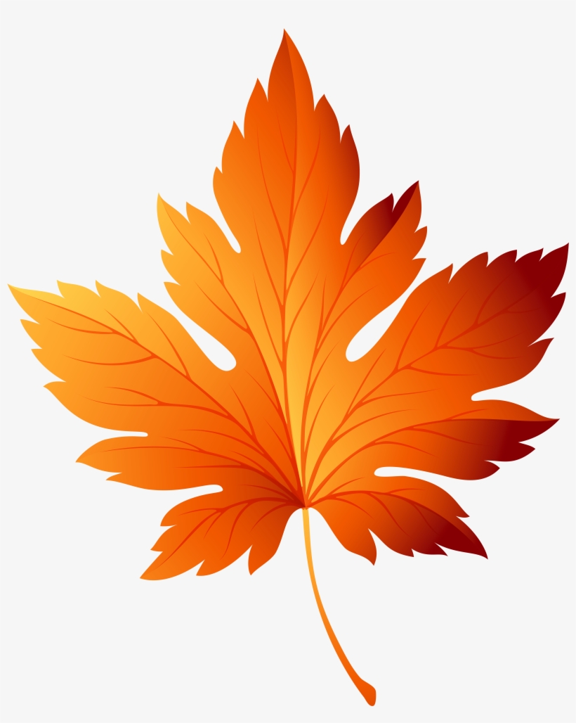 Graphic Freeuse Library Leaf Png Clip Art - Autumn Leaf Transparent Background, transparent png #68847