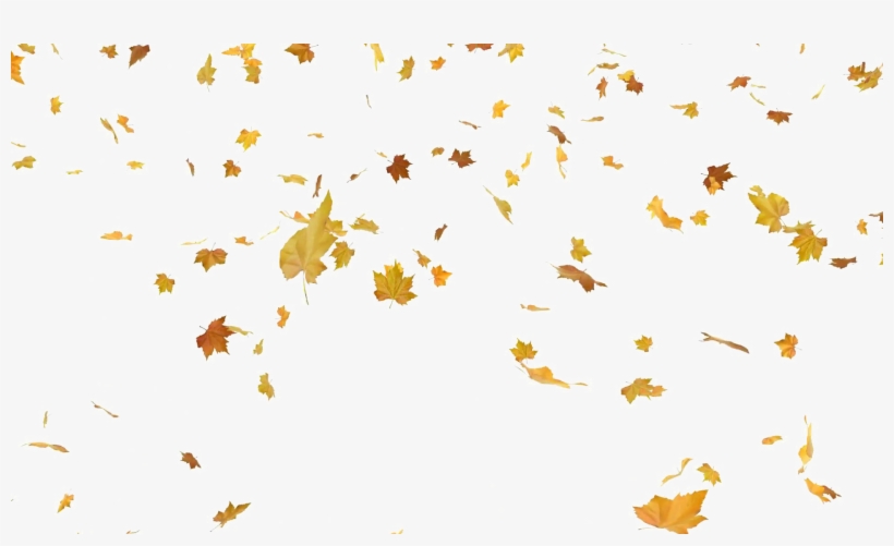 Falling Autumn Leaves Png Free Download - Falling Leaves Png Free, transparent png #68868