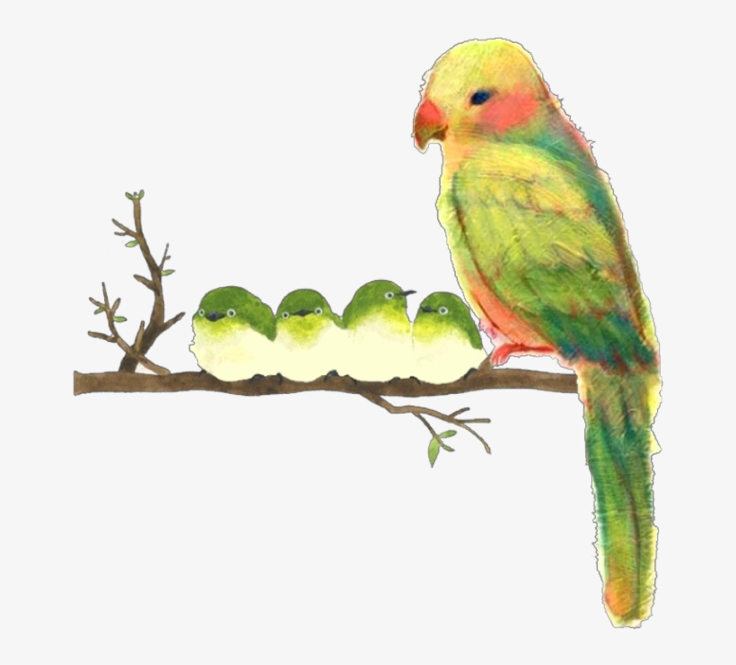 Ftestickers Watercolor Illustration Birds Parrots Cute - Watercolor Painting, transparent png #68908