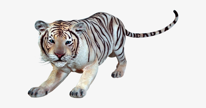 Siberian Tiger Transparent Png - White Siberian Tiger Transparent, transparent png #69051