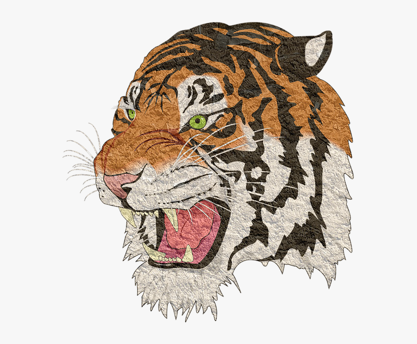 Tiger, Tiger Png, Lion, Animal, Cheetah - Tigre Png, transparent png #69725