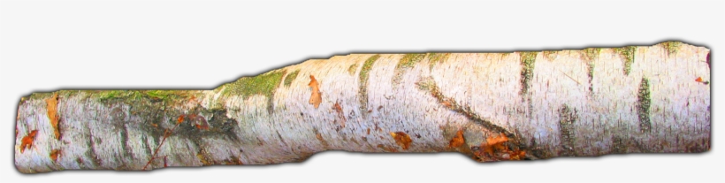 06 Feb 2009 - Wood, transparent png #69856