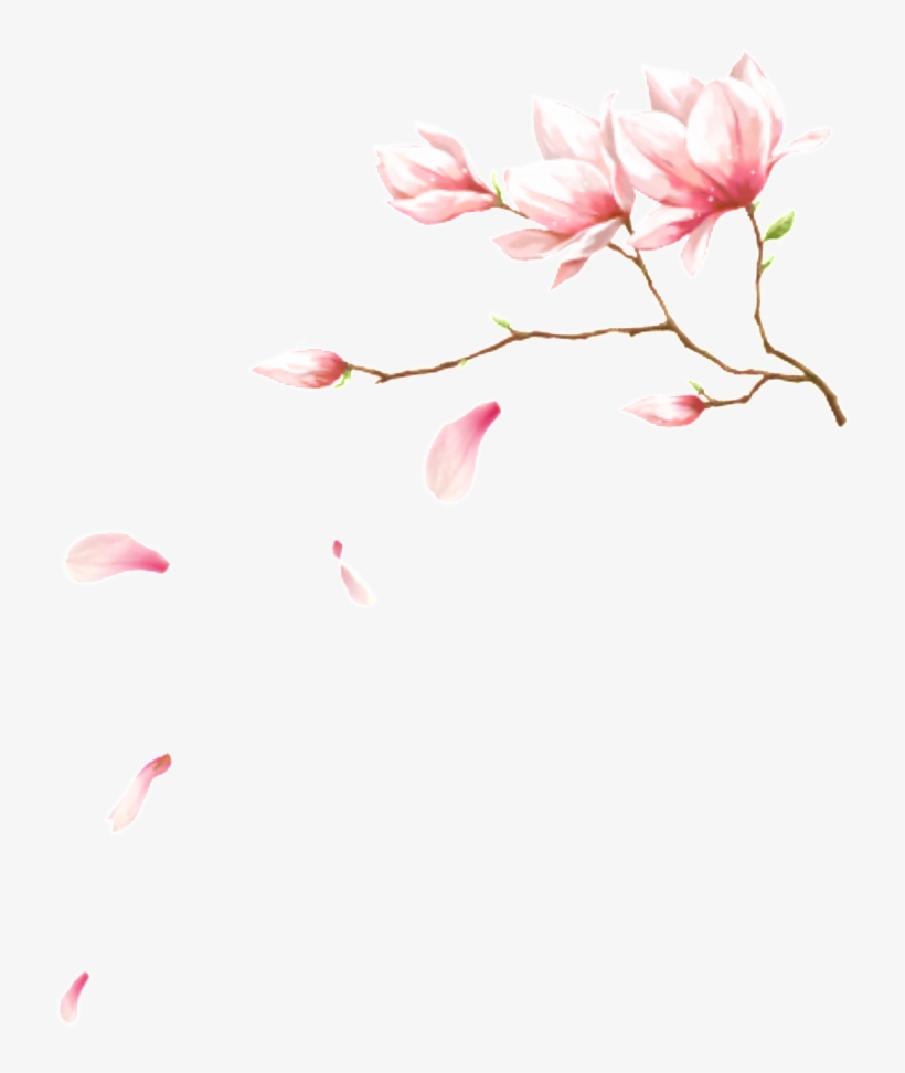 This Graphics Is Pink Flowering Petal Element About - Pink, transparent png #600409