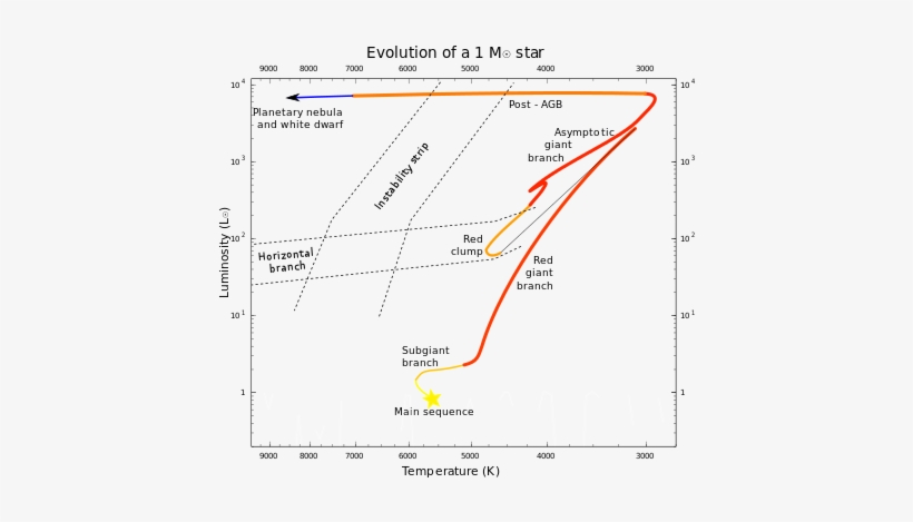 Sun-like Stars Have A Degenerate Core On The Red Giant - Asymptotic Giant Branch Star, transparent png #600613