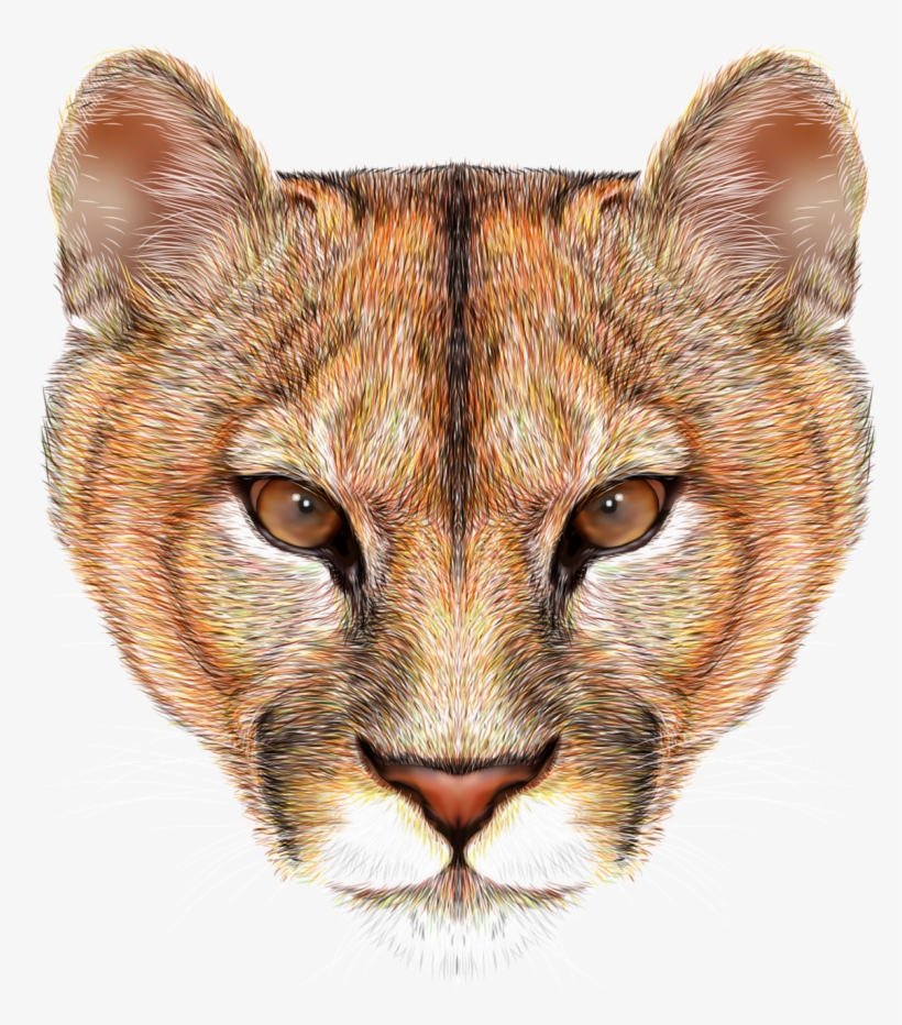 Фото, Автор Soloveika На Яндекс - Portrait Of A Mountain Lion Beige Printed Canvas Bag, transparent png #601322