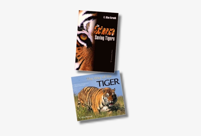 Thumbnail Of Book Covers - Science Of Saving Tigers, transparent png #601421