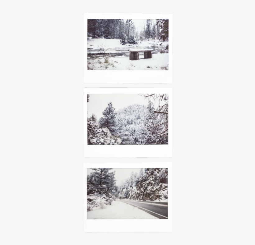 Fujifilm Instant Prints With Transparent Background - Portable Network Graphics, transparent png #601424