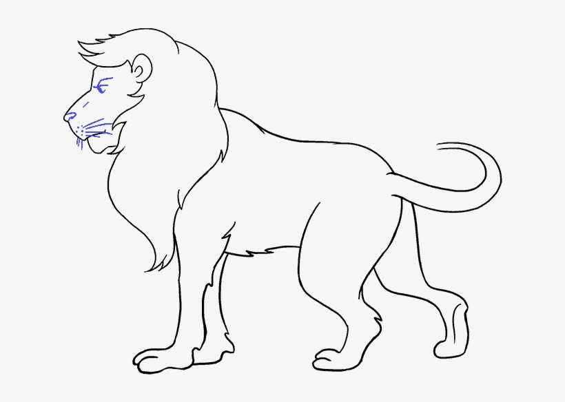 Drawing Lions Clip Art Library - Drawing, transparent png #601460
