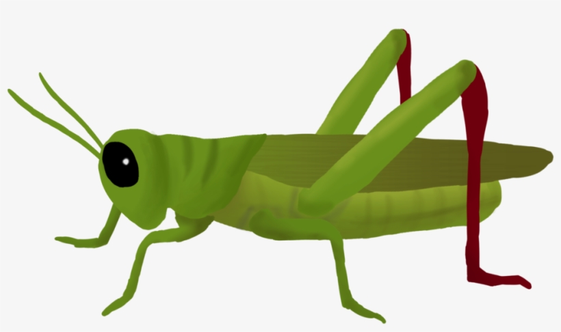 Svg Transparent Clipart Cricket Insect - Grasshopper Png, transparent png #601776