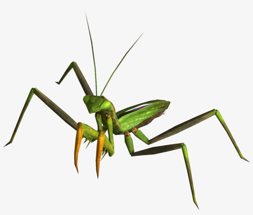 Giant Mantis - Fallout New Vegas Mantis, transparent png #601889