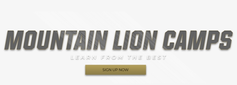 Mountain Lion Camps - Cougar, transparent png #602007